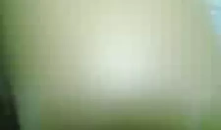 آنجلینا کونهندی وحشی و کهربا دین