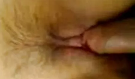 جوراب شلواری, جوراب ساق بلند, فروش, لایه کسب و سکص هندی کار